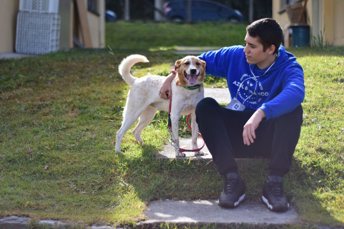 67049382 2386451258262623 550157470639587328 o - Nova home