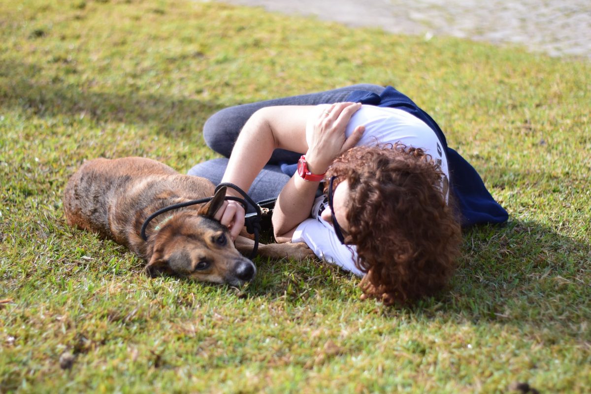 67232488 2386451984929217 3212492987443445760 o - Nova home