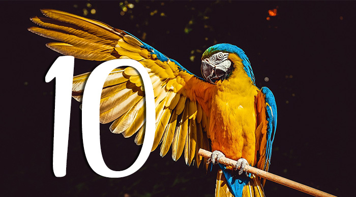 10 ATITUDES QUE PODEM SALVAR O MEIO AMBIENTE! 10 atitudes para salvar o meio ambiente - 10 ATITUDES QUE PODEM SALVAR O MEIO AMBIENTE!