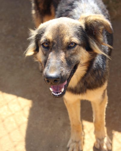 RUTE 22 scaled qj4rt8im7keijywqd0o8az646o9m2175n11g86hh8o - Nova home